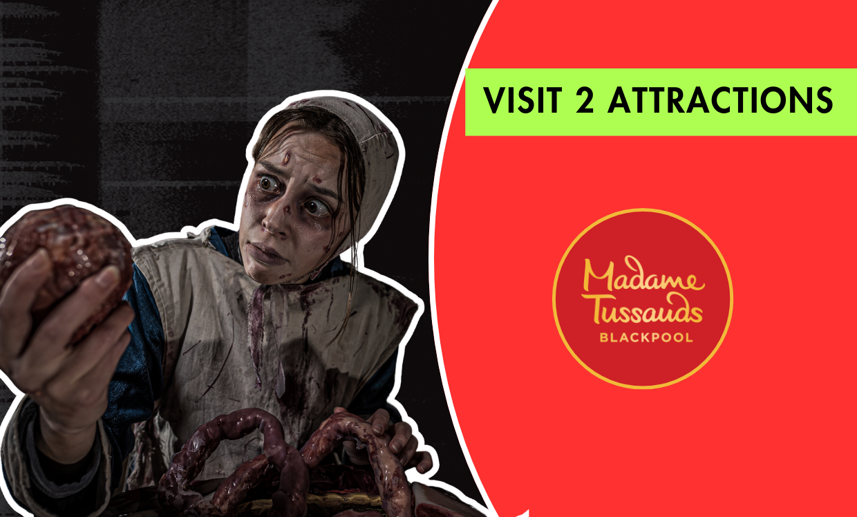 VISIT 3 ATTRACTIONS (1)