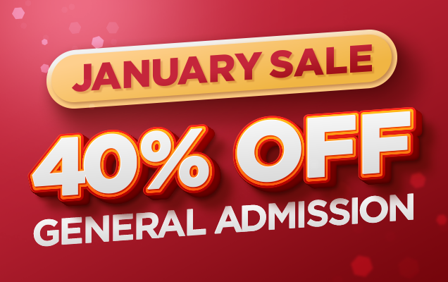 Tussauds Jansale Accesso