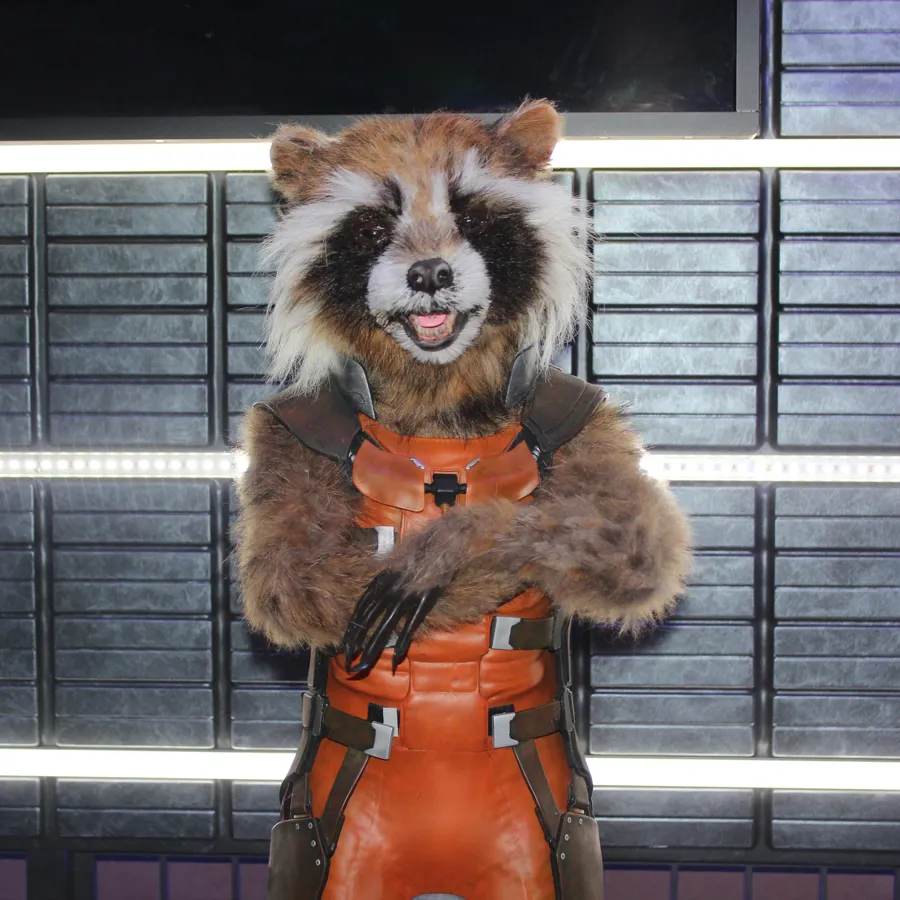 Rocket Guardians Of The Galaxy